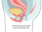 Feature Icon