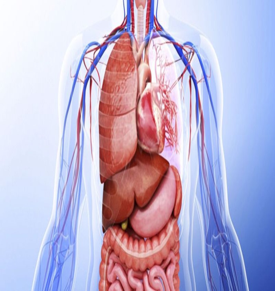 Portfolio Image